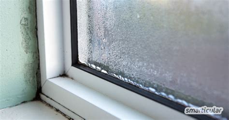 So vermeiden und entfernen Sie Fensterkondenswasser